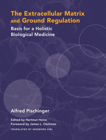 Book cover for The Extracellular Matrix and Ground Regulation