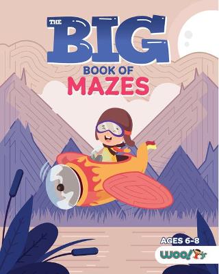 Book cover for The Big Book of Mazes