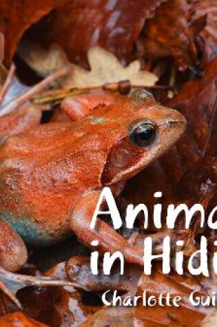 Cover of Animals in Hiding
