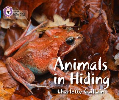 Book cover for Animals in Hiding