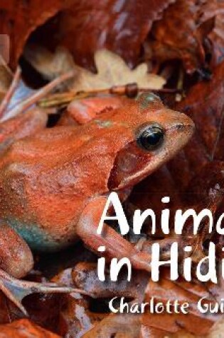 Cover of Animals in Hiding