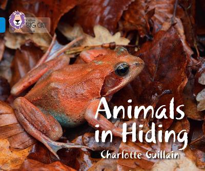 Cover of Animals in Hiding