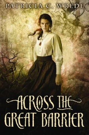 Cover of Across the Barrier