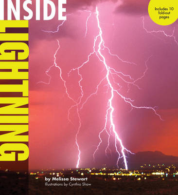 Book cover for Inside Lightning