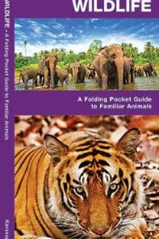 Cover of India Wildlife