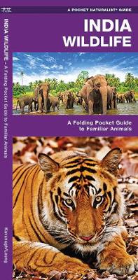 Book cover for India Wildlife