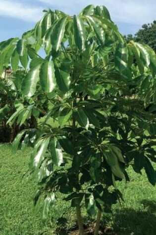 Cover of Umbrella Tree, for the Love of Nature