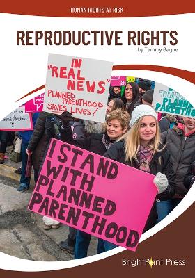 Book cover for Reproductive Rights