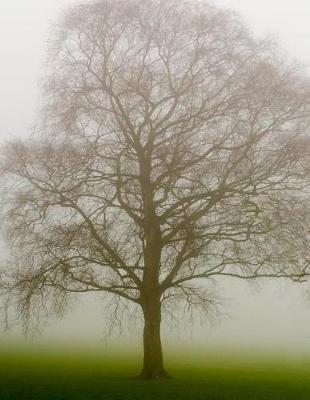 Book cover for Tree Notebook