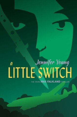 Cover of A Little Switch