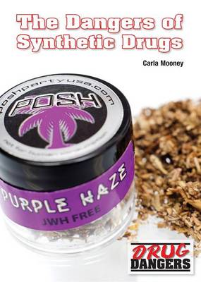 Book cover for The Dangers of Synthetic Drugs