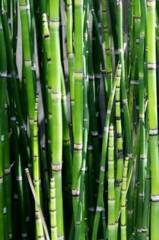 Cover of Vivid Green Bamboo Reeds Journal