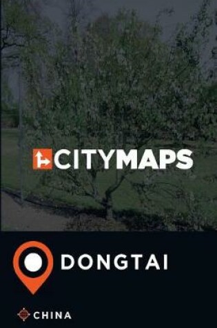 Cover of City Maps Dongtai China