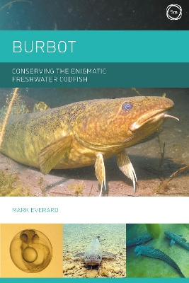 Book cover for Burbot