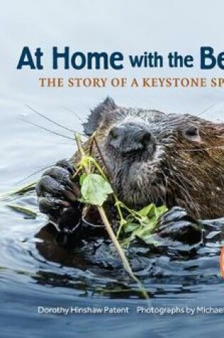 Cover of At Home with the Beaver