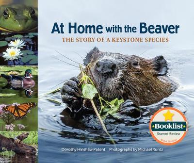 Book cover for At Home with the Beaver