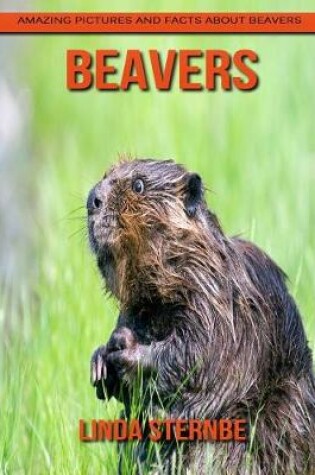 Cover of Beavers