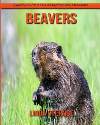 Book cover for Beavers