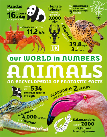 Book cover for Our World in Numbers Animals