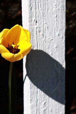 Book cover for Yellow Tulip and White Picket Fence (for the Love of Flowers)