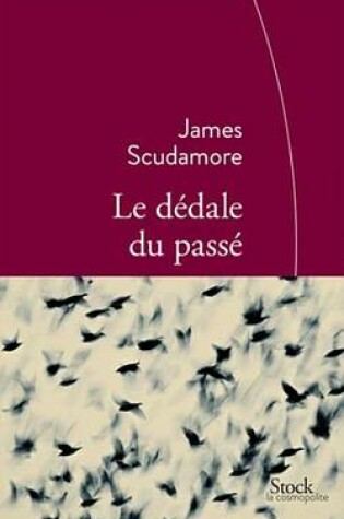 Cover of Le Dedale Du Passe