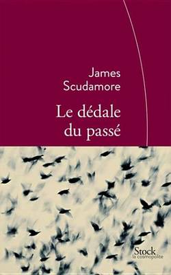 Book cover for Le Dedale Du Passe