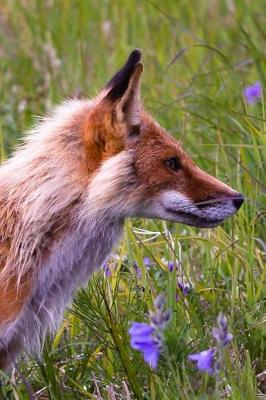 Book cover for Fox in the Flowers