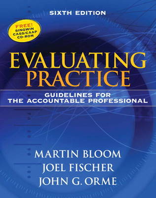 Book cover for Evaluating Practice