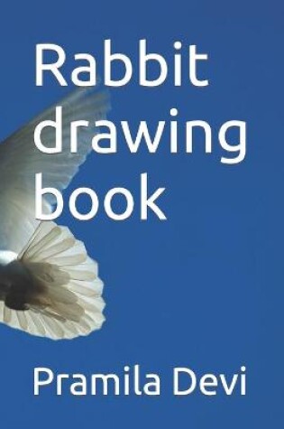 Cover of Rabbit drawing book