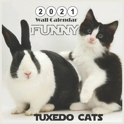 Book cover for Tuxedo Cats FUNNY