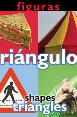 Cover of Figuras: Triangulos
