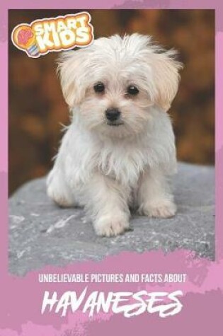 Cover of Unbelievable Pictures and Facts About Havanese