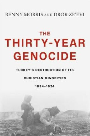 Cover of The Thirty-Year Genocide