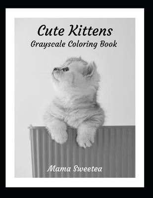 Book cover for Cute Kittens