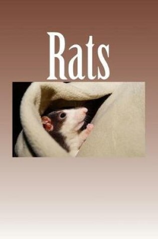 Cover of Rats