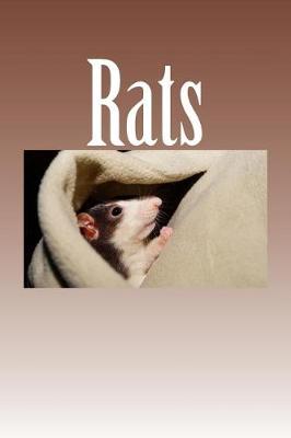 Book cover for Rats