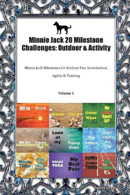 Book cover for Minnie Jack 20 Milestone Challenges