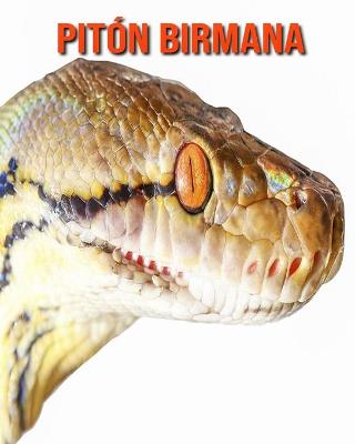 Book cover for Pitón birmana