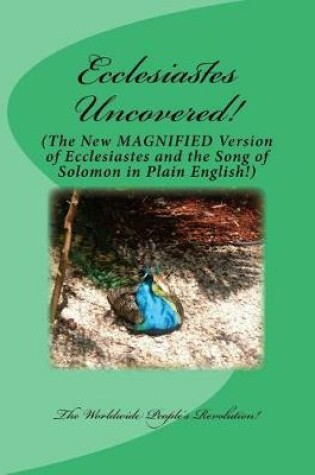 Cover of Ecclesiastes Uncovered!