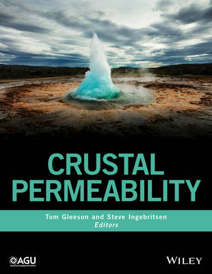 Book cover for Crustal Permeability