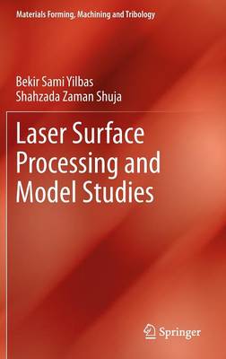 Cover of Laser Surface Processing and Model Studies