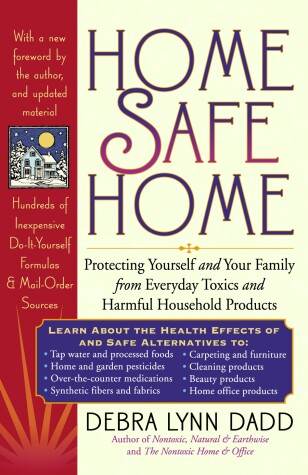 Book cover for Home Safe Home