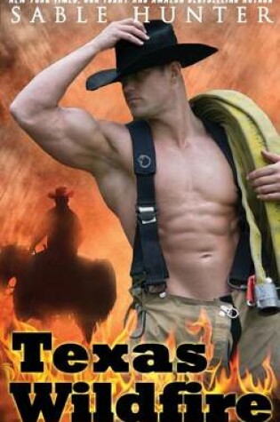 Cover of Texas Wildfire