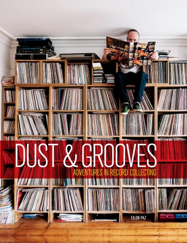 Book cover for Dust & Grooves