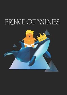 Book cover for Prince Of Whales