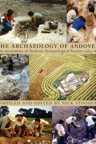 Cover of The Archaeology of Andover