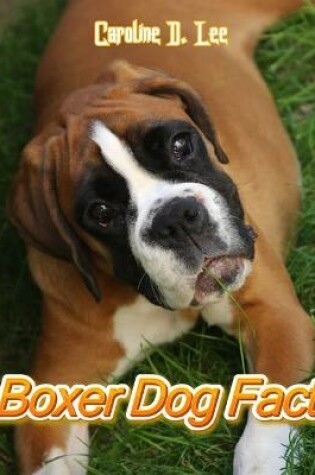 Cover of Boxer dog Fact