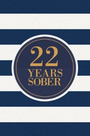 Cover of 22 Years Sober