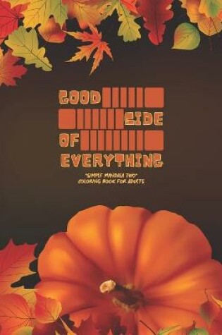 Cover of Good Side of Everything