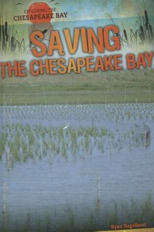 Cover of Saving the Chesapeake Bay
